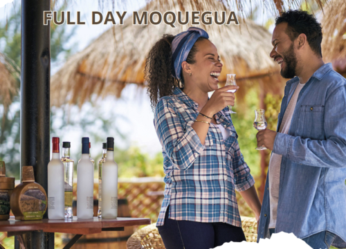 Full Day Moquegua